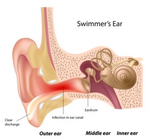 feel heartbeat in ear sinus